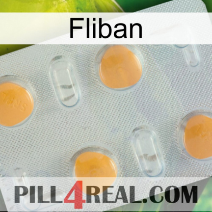 Fliban 24